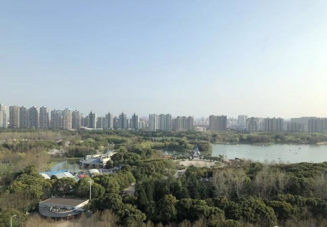 金鷹大廈