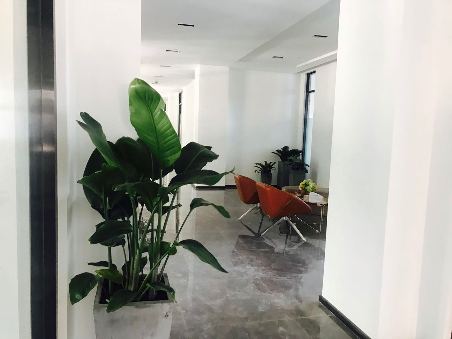 九洲中心