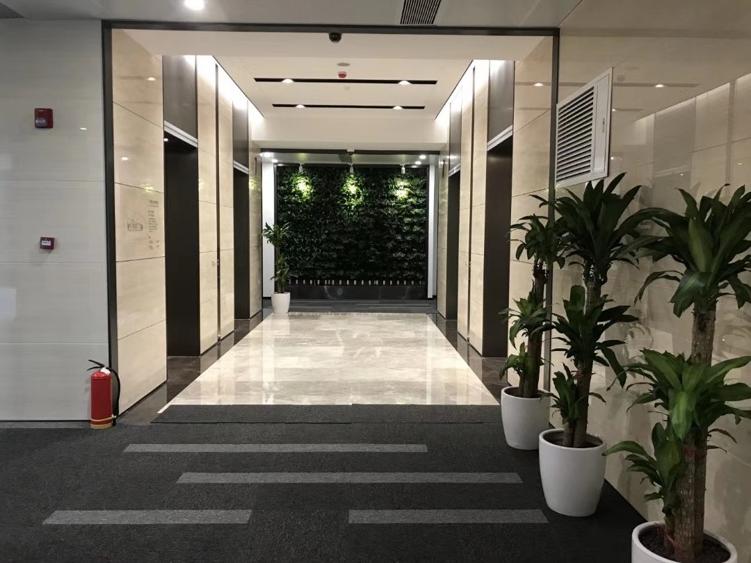魯能國際中心