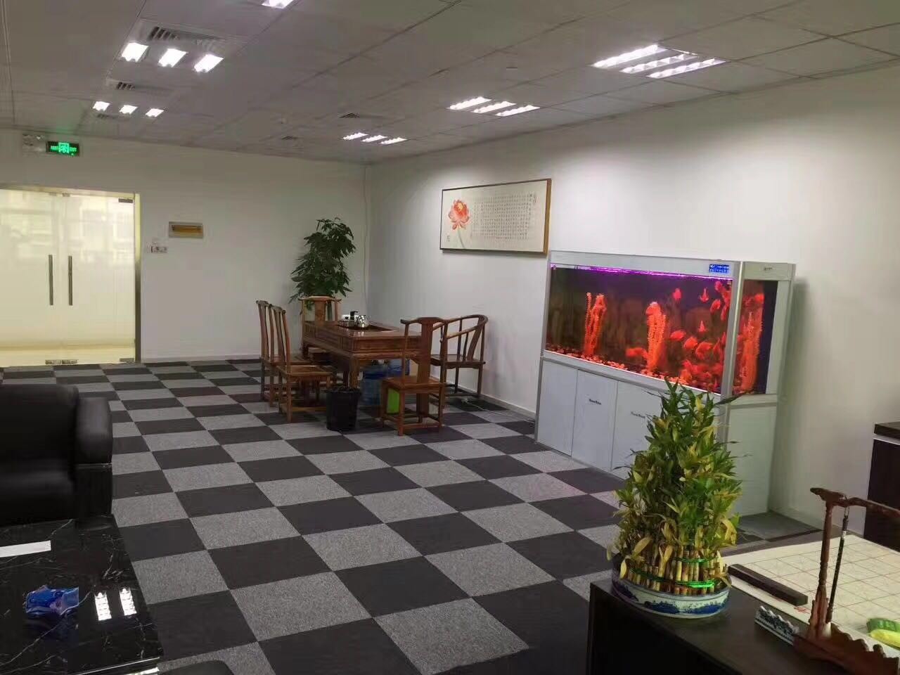 中信五牛城