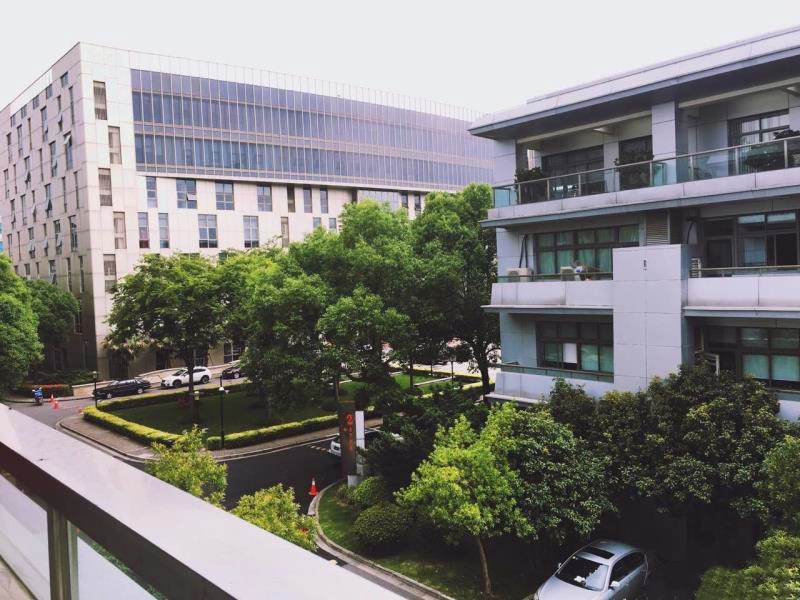 張江微電子港
