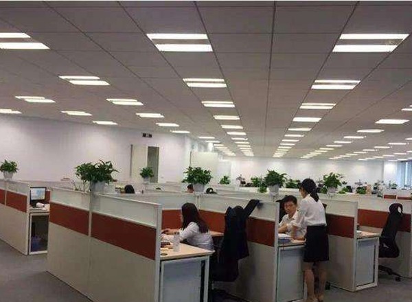楓林國際大廈