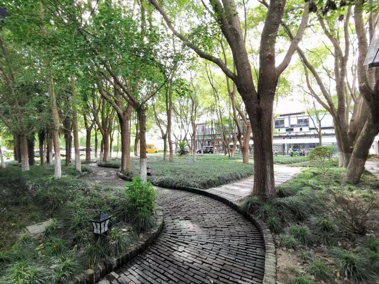 康橋樹源