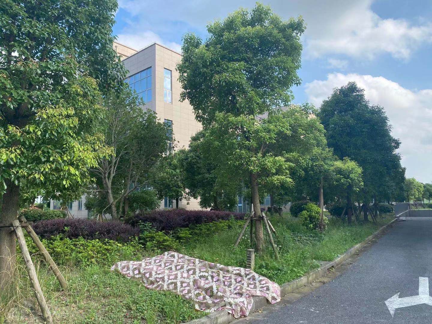 琥珀園