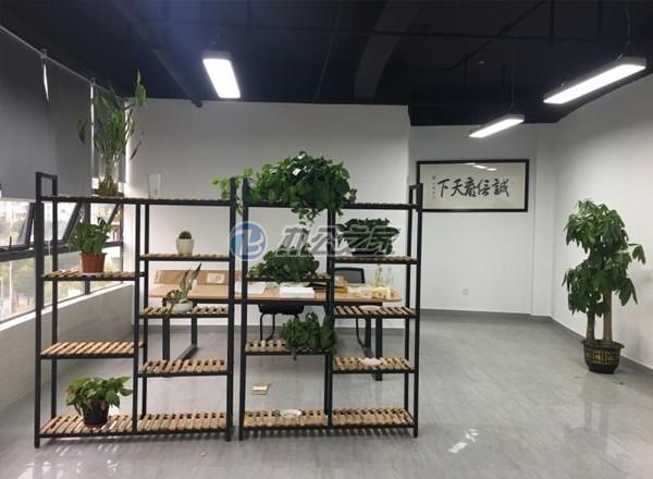 萊賽港