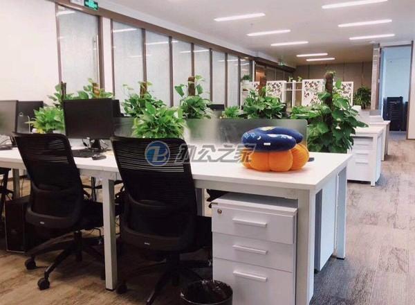 e通世界華新園