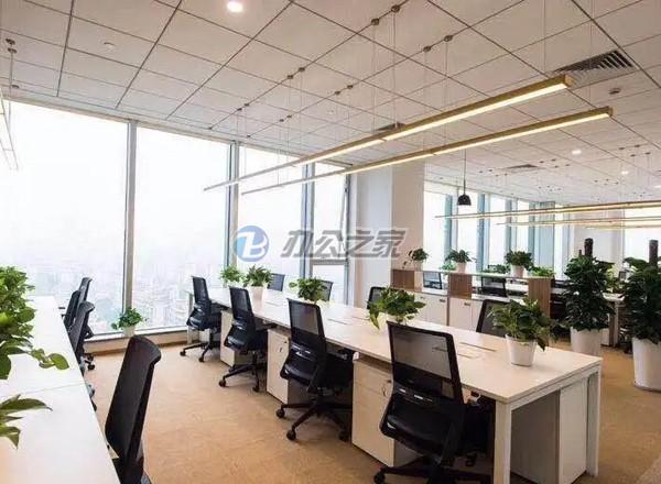 白玉蘭廣場(金光中心)