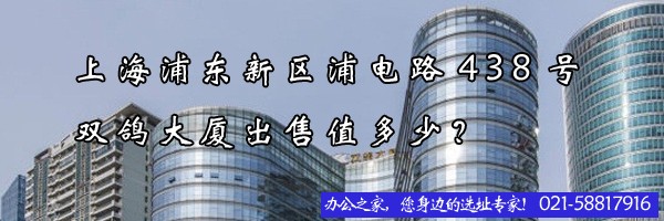 上海浦東新區(qū)浦電路438號(hào)雙鴿大廈出售值多少？